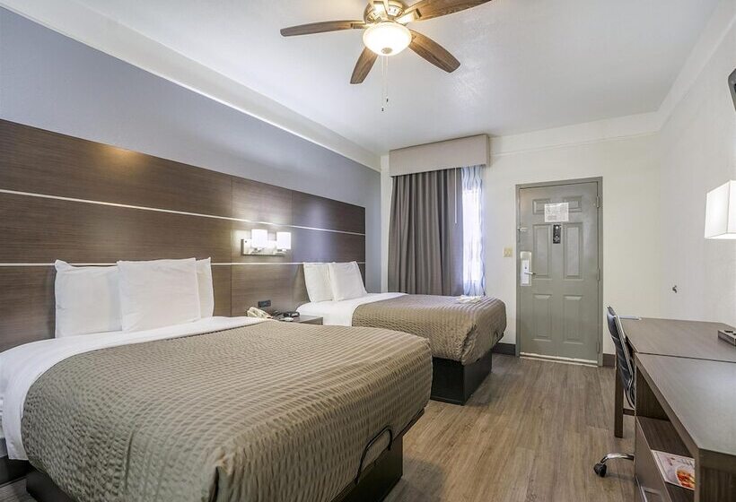 带2个双人床的标准工作室, Days Inn & Suites By Wyndham Webster Nasaclearlakehouston