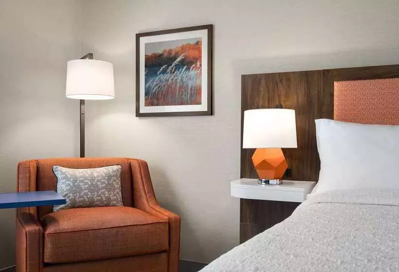 اتاق استاندارد با تخت بزرگ, Hampton By Hilton Encinitas Cardiff Beach Area