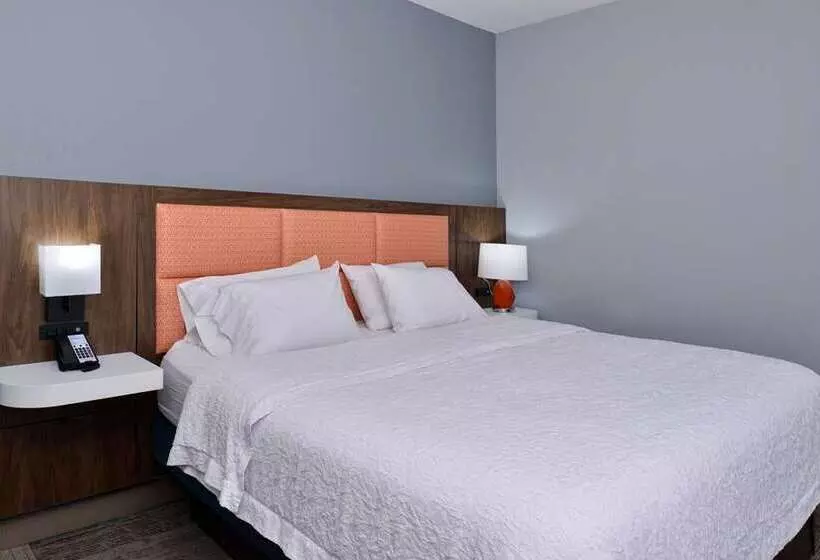 اتاق استاندارد با تخت بزرگ, Hampton By Hilton Encinitas Cardiff Beach Area