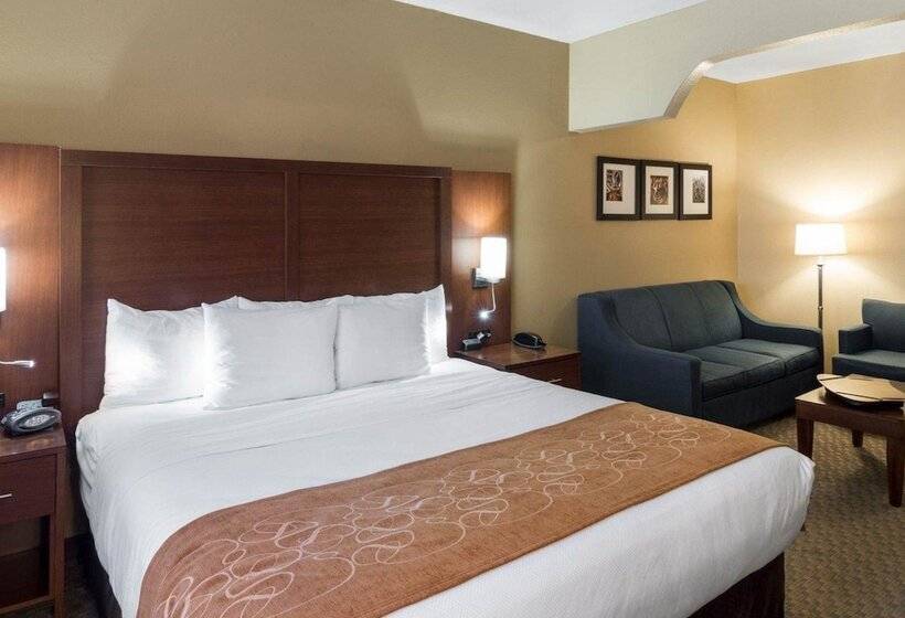 Люкс, Quality Suites Midland North Loop 250