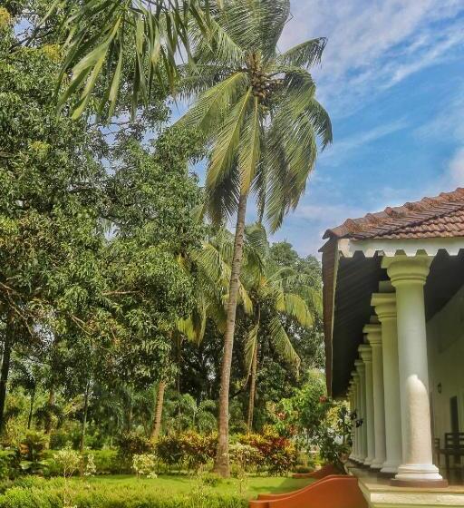 Suíte Premium, The Postcard Cuelim, Goa