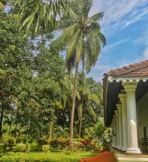 プレミアムスイート, The Postcard Cuelim, Goa