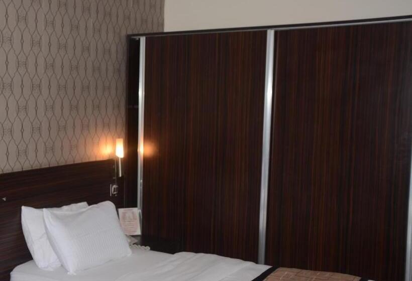 اتاق استاندارد یک نفره, Karlovyvary Hotel Ankawa