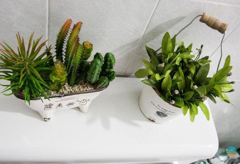 اتاق استاندارد چهار تخته, El Quincho