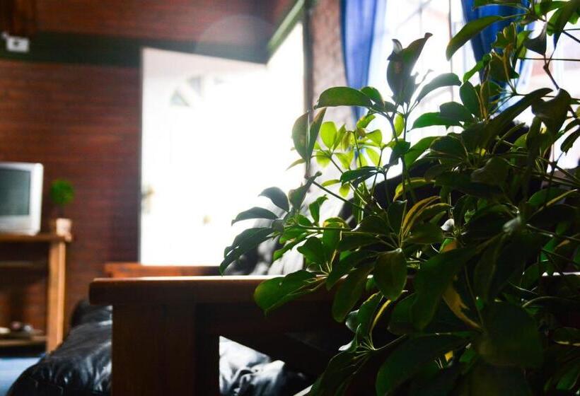 آپارتمان 1 خوابه, El Quincho