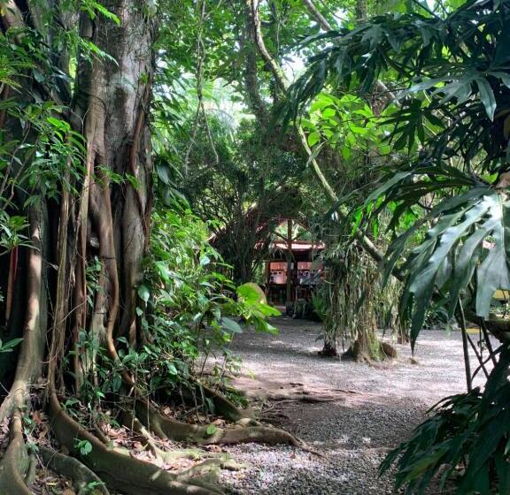 家族用バンガロー, Brigitte S Ranch