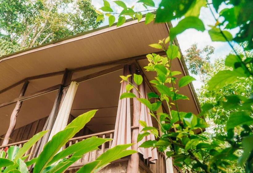 バルコニー付きスタンダードルーム, Brigitte S Ranch