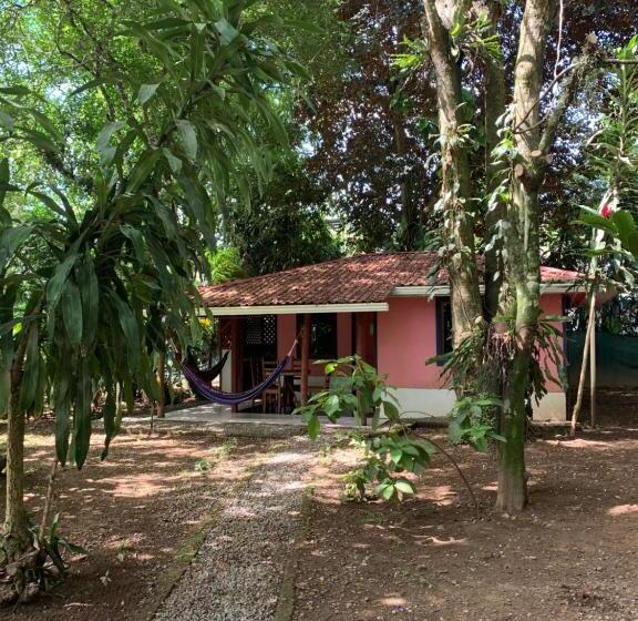 בונגלו משפחתי, Brigitte S Ranch