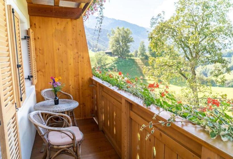 דירת חדר, Ganoihof Apartments