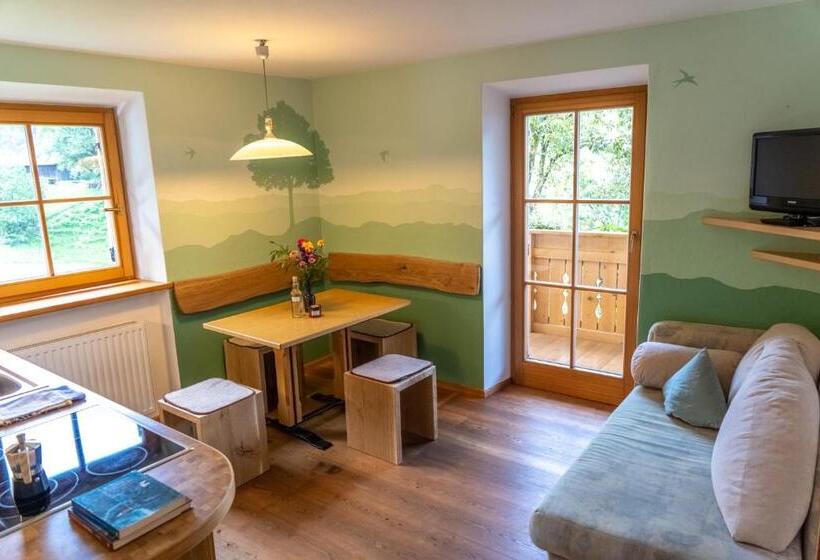 דירת שני חדרים, Ganoihof Apartments