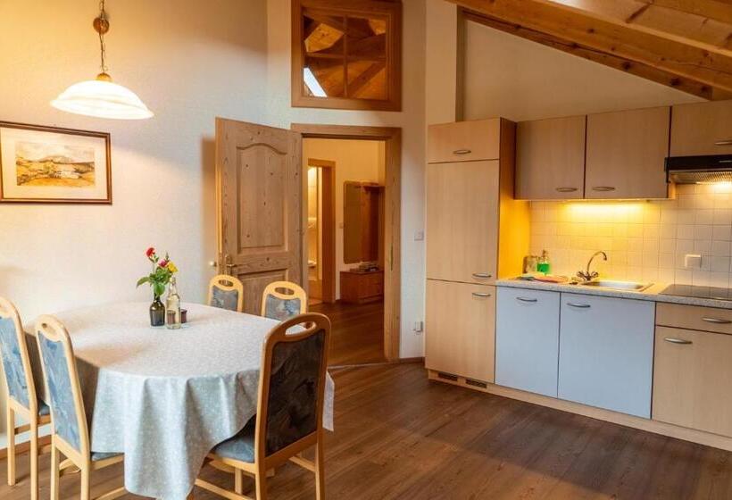 آپارتمان سوپریور 2 خوابه, Ganoihof Apartments