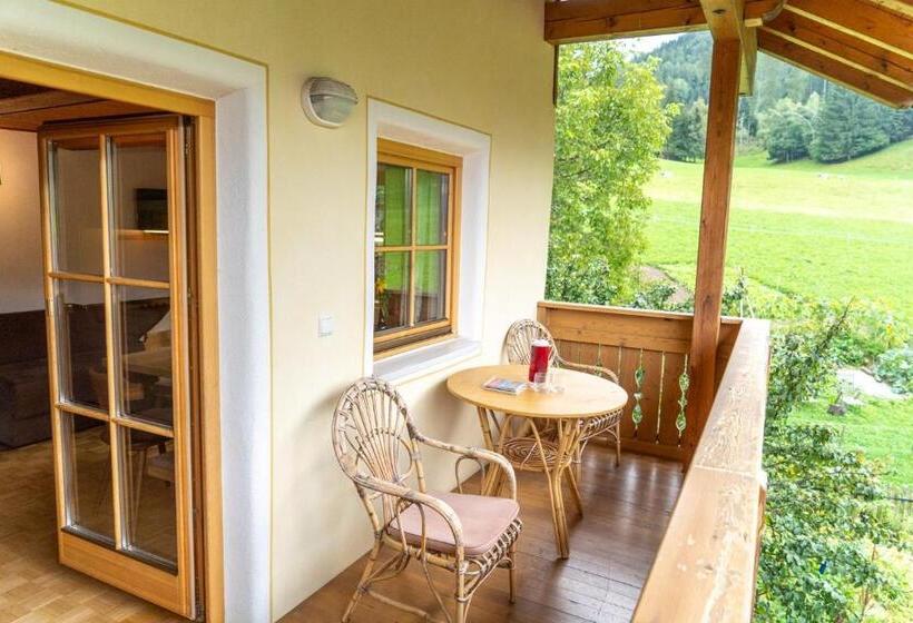 דירת שני חדרים, Ganoihof Apartments