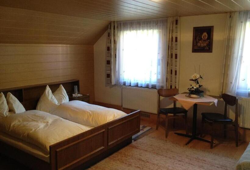 Номер Стандарт Совместная Ванная, Alpengasthaus Gießlhütte