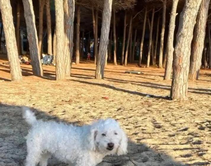 Дом 2 Спальни, Cada View