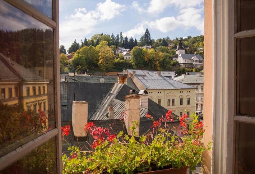 スタンダードシティビュールーム, Penzión Rozália