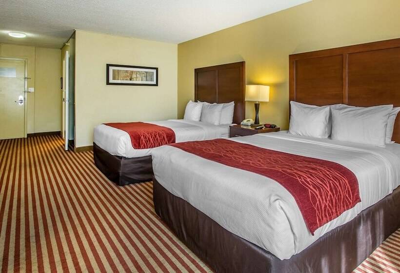 Номер Стандарт Адаптированный для Инвалидов, Comfort Inn & Suites Kissimmee By The Parks