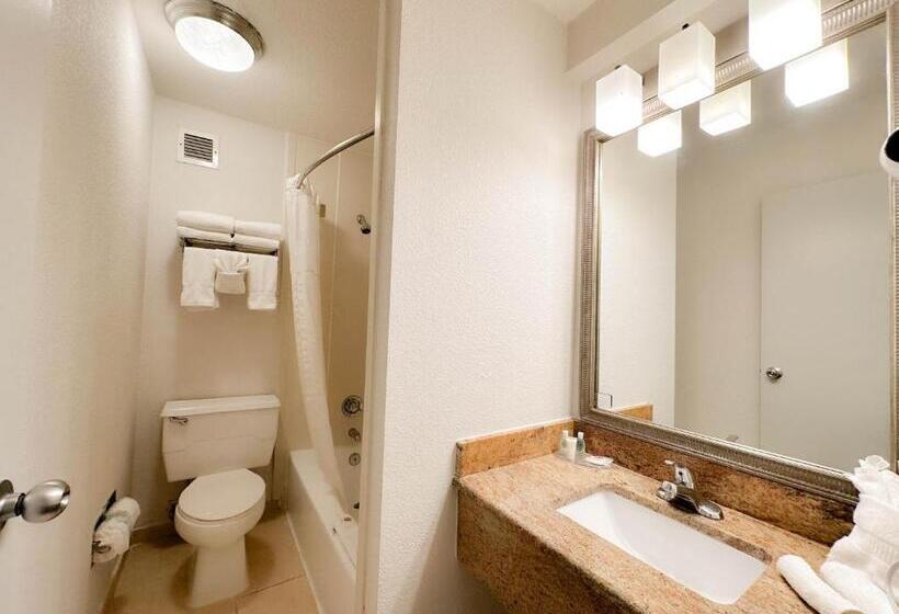 Quarto Deluxe Cama King, Comfort Inn & Suites Kissimmee By The Parks