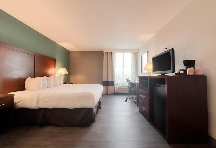 キングサイズベッドのデラックスルーム, Comfort Inn & Suites Kissimmee By The Parks