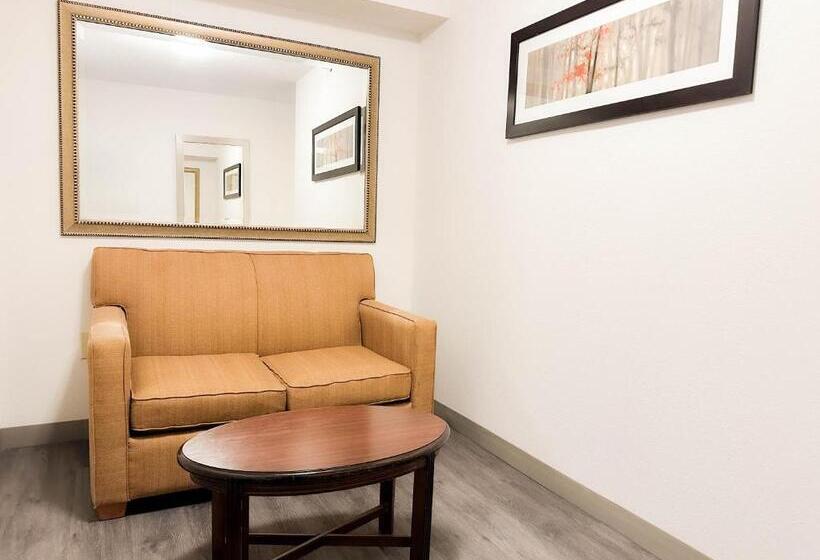 Номер Deluxe Кровать Кинг, Comfort Inn & Suites Kissimmee By The Parks