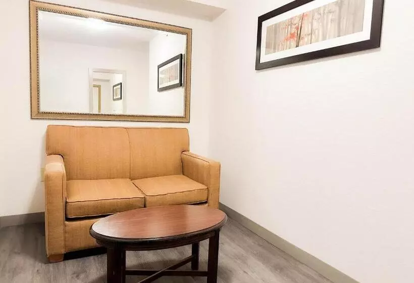 اتاق لوکس با تخت بزرگ, Comfort Inn & Suites Kissimmee By The Parks