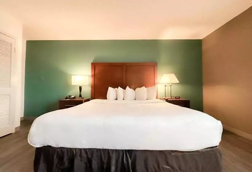 اتاق لوکس با تخت بزرگ, Comfort Inn & Suites Kissimmee By The Parks