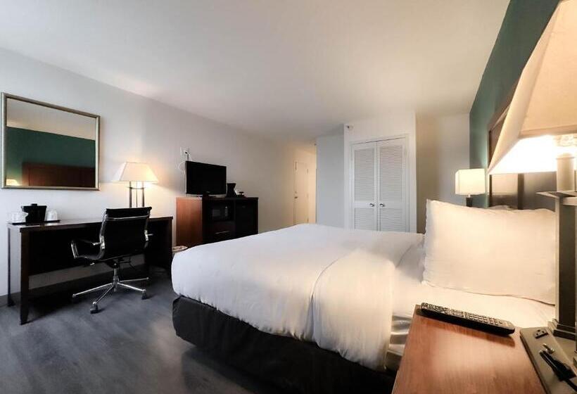 キングサイズベッドのデラックスルーム, Comfort Inn & Suites Kissimmee By The Parks