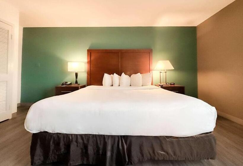 キングサイズベッドのデラックスルーム, Comfort Inn & Suites Kissimmee By The Parks