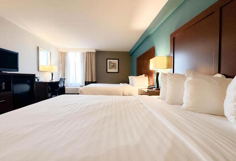 Quarto Estandar, Comfort Inn & Suites Kissimmee By The Parks