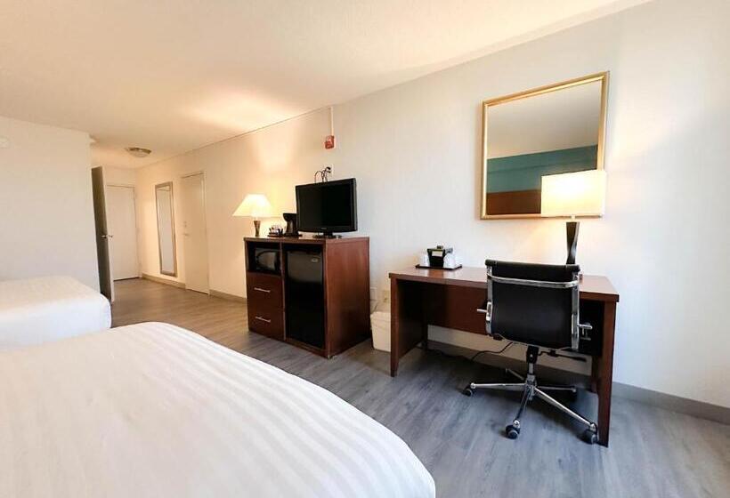 スタンダードルーム, Comfort Inn & Suites Kissimmee By The Parks