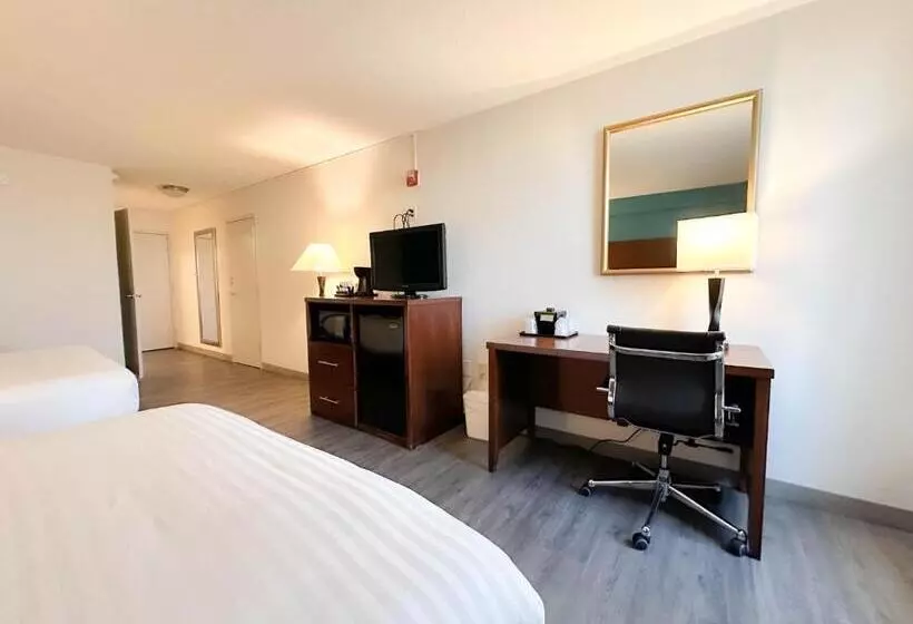 اتاق استاندارد, Comfort Inn & Suites Kissimmee By The Parks