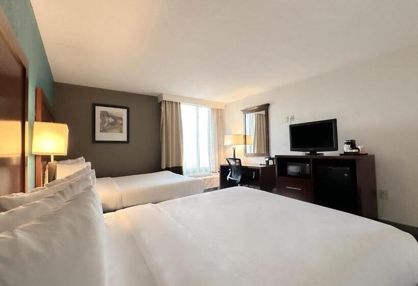 Quarto Deluxe, Comfort Inn & Suites Kissimmee By The Parks