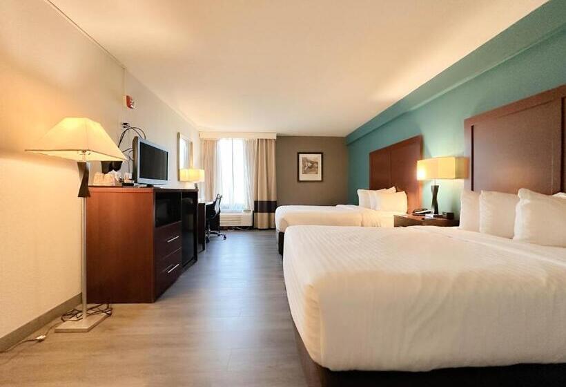 身障者適用スタンダードルーム, Comfort Inn & Suites Kissimmee By The Parks