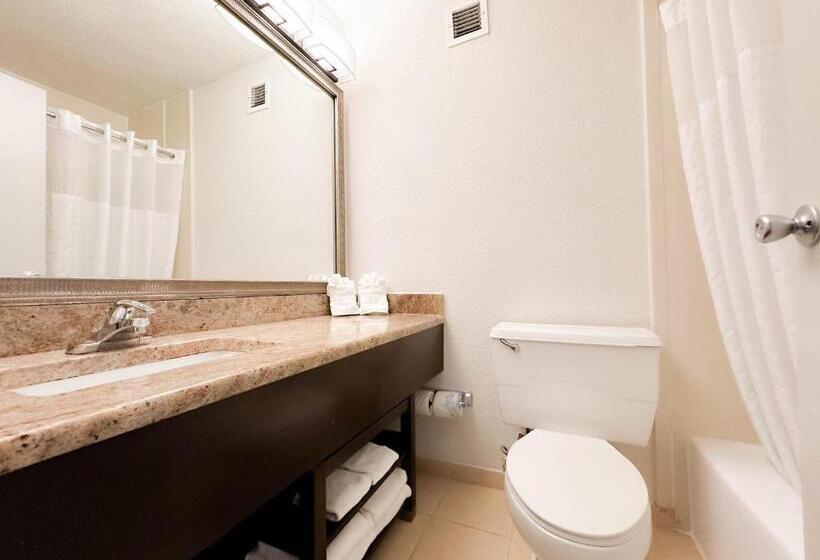 Номер Superior Кровать Кинг, Comfort Inn & Suites Kissimmee By The Parks