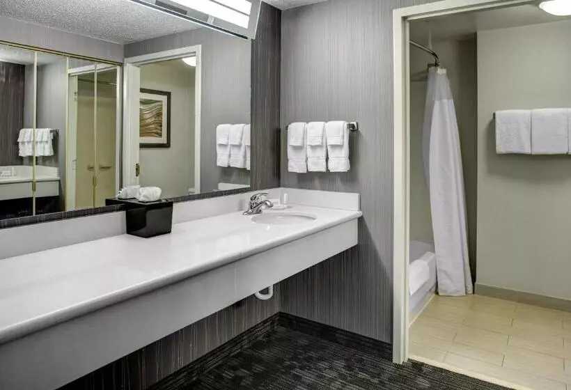 Sviitti King-vuode, Courtyard By Marriott Cleveland Westlake