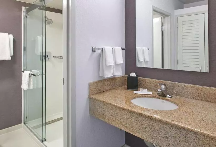 Sviitti King-vuode, Courtyard By Marriott Detroit Troy