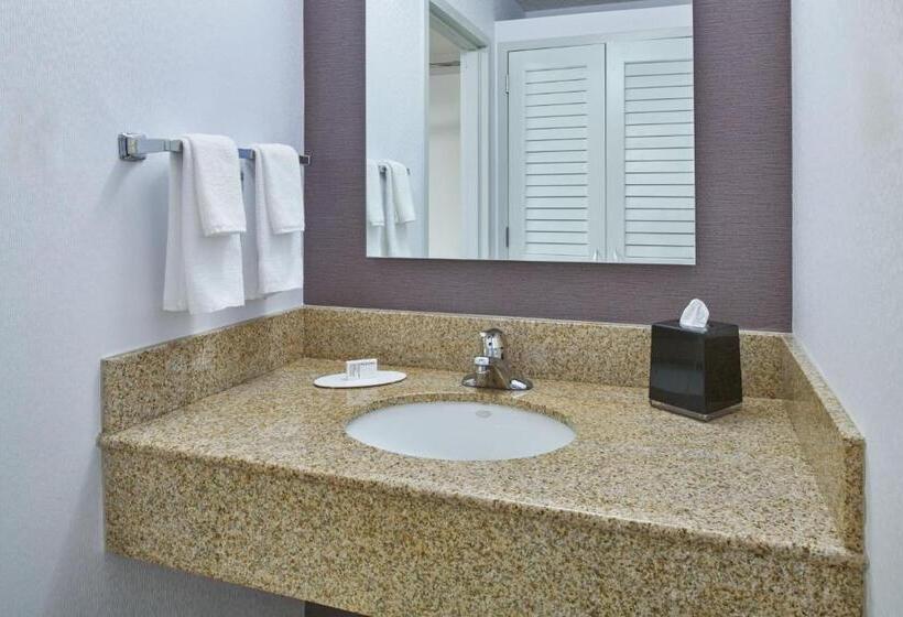 Номер Стандарт Кровать Кинг Адаптированный для Инвалидов, Courtyard By Marriott Detroit Troy
