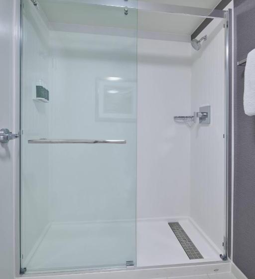 장애인을 위한 킹사이즈 침대 스탠다드 룸, Courtyard By Marriott Detroit Troy