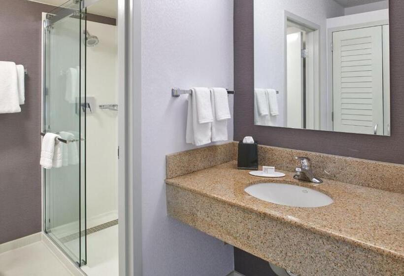 Номер Стандарт Кровать Кинг Адаптированный для Инвалидов, Courtyard By Marriott Detroit Troy