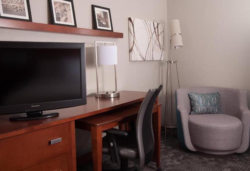 带城市景观的标准间, Courtyard Charleston Waterfront