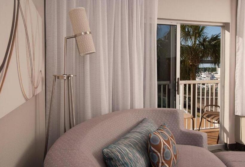 标准间侧面带海景, Courtyard Charleston Waterfront