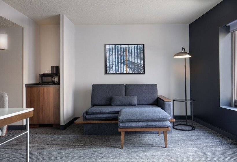 Suite, Courtyard By Marriott Chicago Downtown/river North