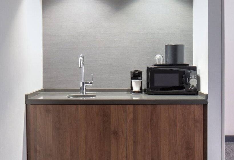 سوییت, Courtyard By Marriott Chicago Downtown/river North