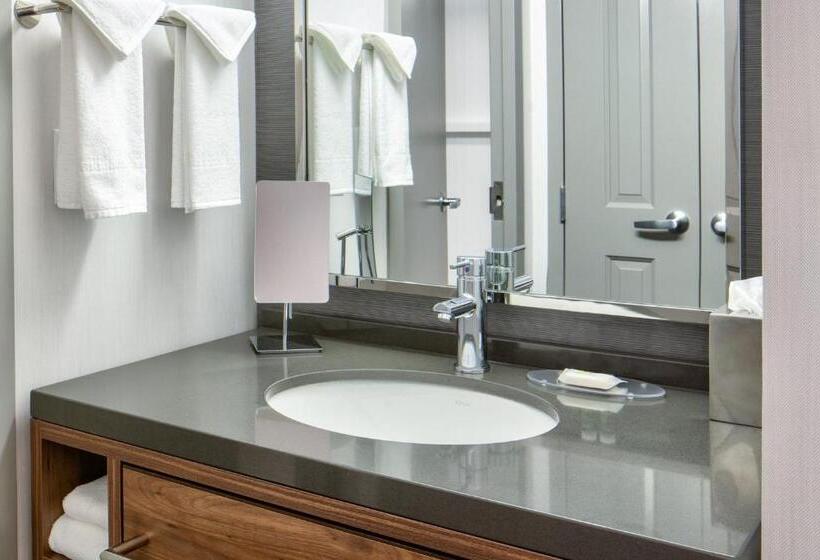 اتاق استاندارد با تخت بزرگ, Courtyard By Marriott Chicago Downtown/river North