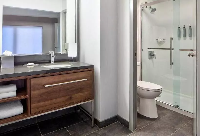 キングサイズベッドのスタンダードルーム, Courtyard By Marriott Chicago Downtown/river North