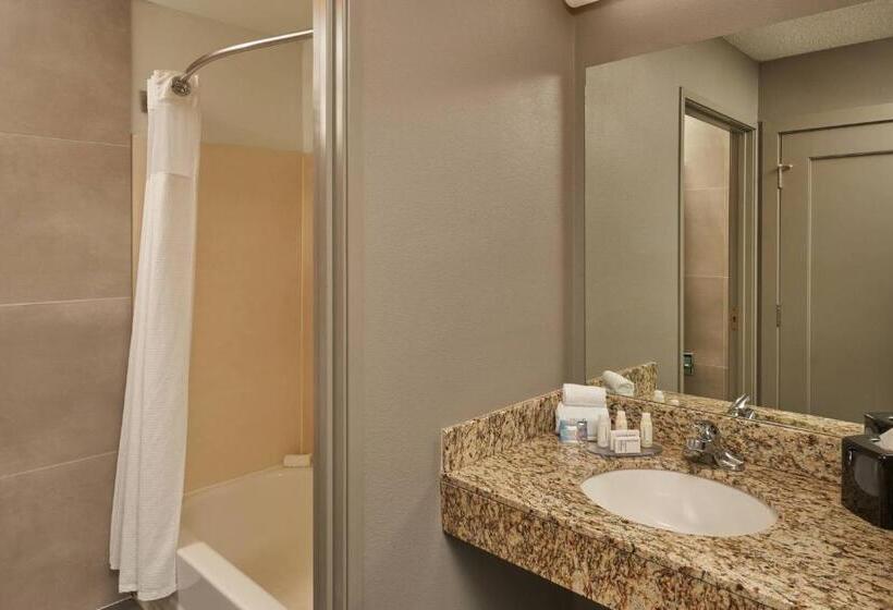 اتاق اجرایی با تخت بزرگ, Courtyard By Marriott Indianapolis South