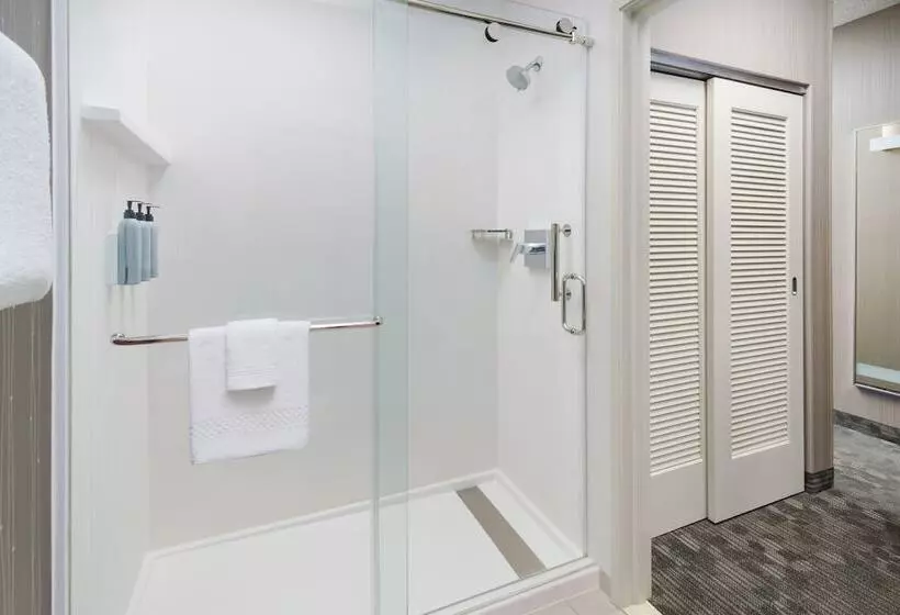 اتاق استاندارد با تخت دوبل, Courtyard By Marriott Roseville