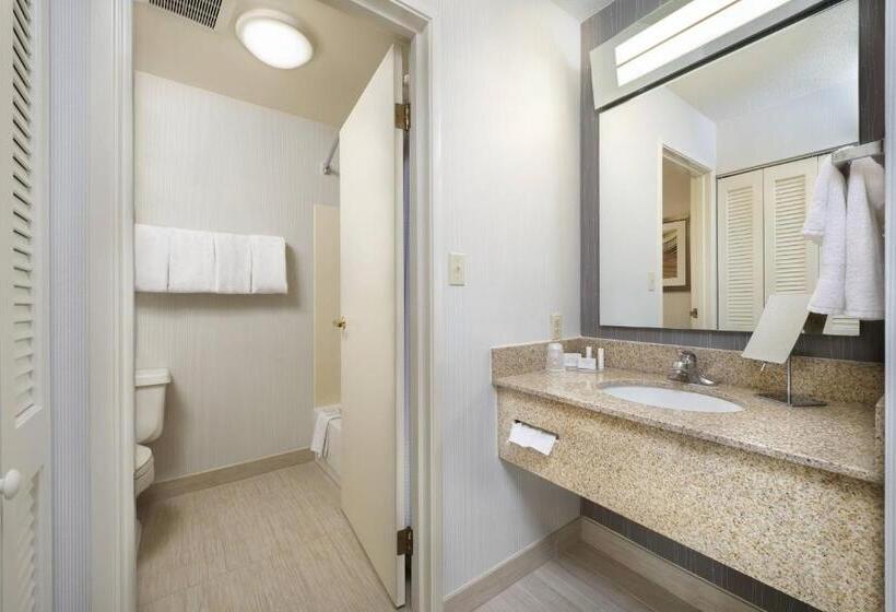 سوئیت با تخت بزرگ, Courtyard Mishawaka University Area