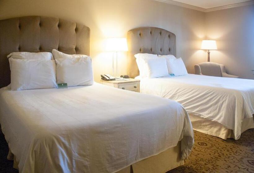 Номер Стандарт 2 Двуспальные Кровати, Dauphine Orleans