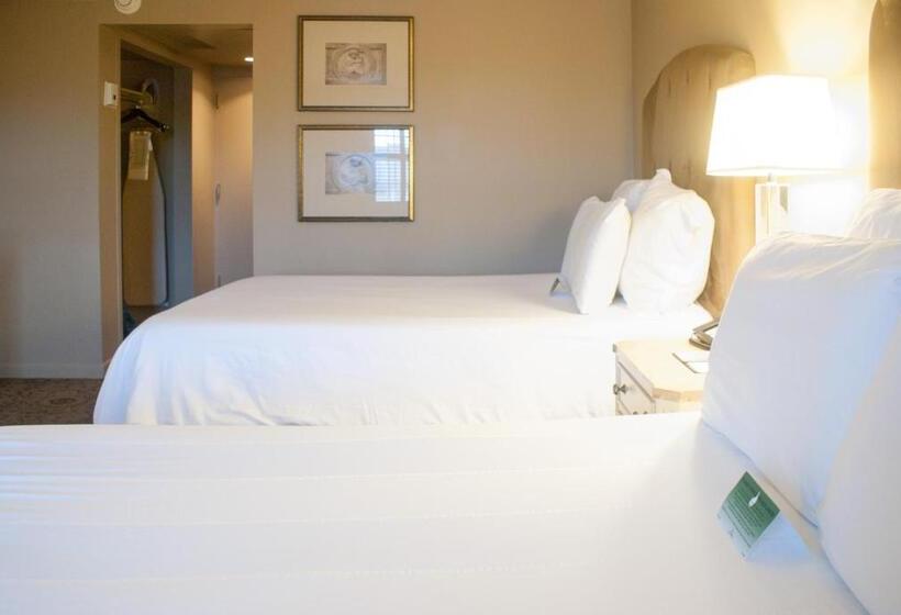 Номер Стандарт 2 Двуспальные Кровати, Dauphine Orleans