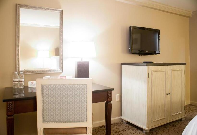 Номер Премиум, Dauphine Orleans